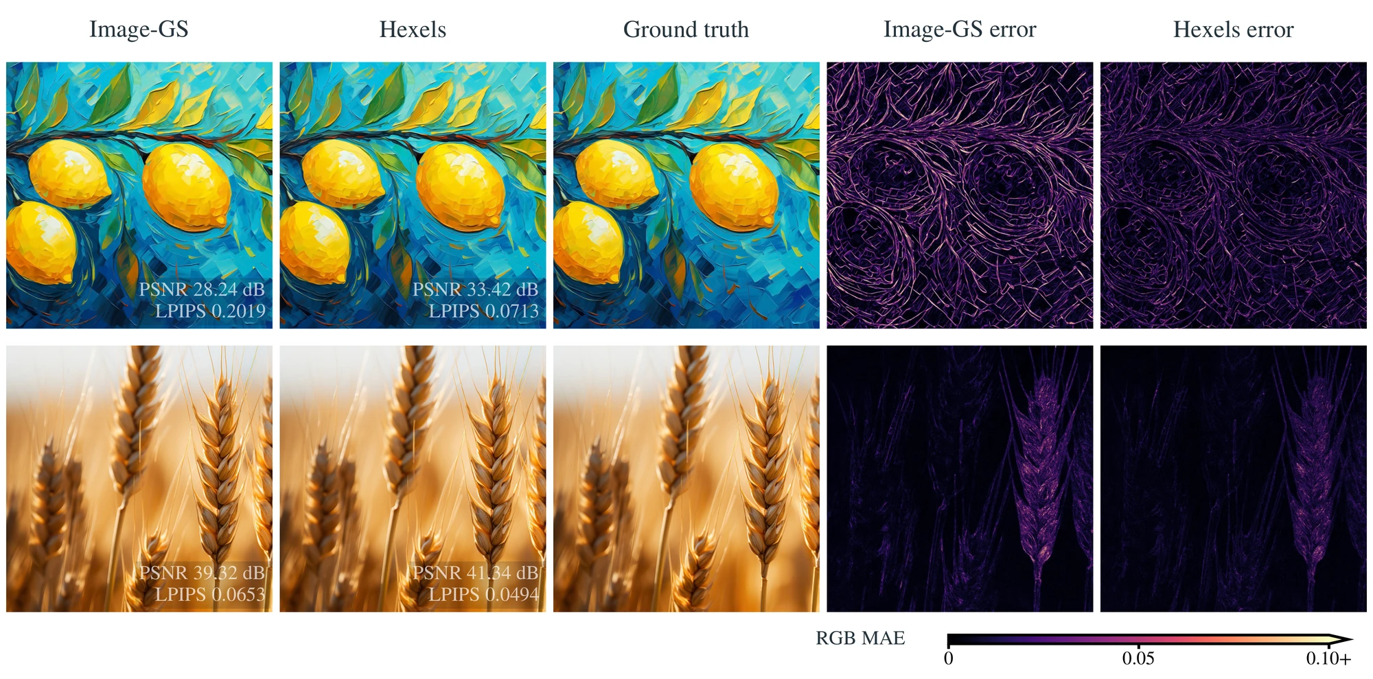 Two rows of five panels, a painting of lemons on a branch and a photo of wheat ears: the Image-GS fit, the Hexels fit, the ground truth, and the two per-pixel error maps, where the Hexels error maps are darker.